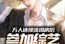 万人迷顶流塌房后,参加综艺翻红了这本小说在哪里可以看?哪里有免费试读章节?-美文小说