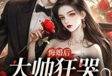 悔婚后大帅狂哭三十三天小说无弹窗阅读的网站推荐-美文小说