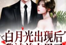 白月光出现后，我被前夫甩了小说的所有章节都能在哪里免费读到？-美文小说
