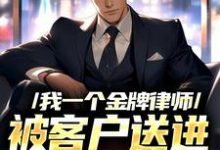 小说《我一个金牌律师,被客户送进监狱了》章节免费阅读-美文小说