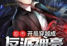 都市:开局穿越成反派神豪方宇东皇璃月张陵苏牧尘小说完结版章节在线阅读-美文小说