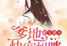 唐青庭季远枭林琳季慕谦小说酷宝逆天:爹地,快宠妈咪章节免费阅读-美文小说