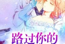 路过你的倾城时光小说的免费阅读版本在哪里可以找到?-美文小说