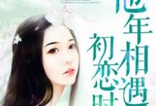 他年相遇初恋时免费阅读，他年相遇初恋时秦臻苏奕司徒安-美文小说