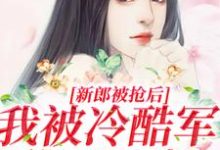 新郎被抢后,我被冷酷军爷日日宠小说完结版章节免费阅读-美文小说