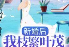 已完结小说《新婚后,我枝繁叶茂多子多福》章节免费阅读-美文小说