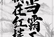 我在红楼当霸王最新章节,我在红楼当霸王免费阅读-美文小说