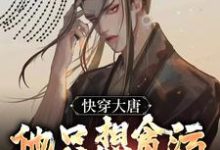 快穿大唐,他只想贪污腐败享人生小说的免费阅读版本在哪里可以找到?-美文小说