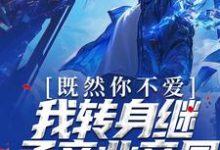 求既然你不爱,我转身继承商业帝国小说免费资源-美文小说