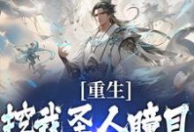 重生:挖我圣人瞳目,夫人你挺牛啊小说的无弹窗阅读体验,寻找免费阅读网站-美文小说