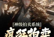 神级拍卖系统:疯狂拍卖全球宝物小说的免费阅读版本在哪里可以找到?-美文小说