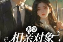 小说《甜宠:相亲对象是甲方大佬》在线章节阅读-美文小说