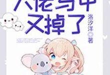 快穿:大佬马甲又掉了夜轻尘顾瑾楠景连城系统小说在线章节免费阅读-美文小说