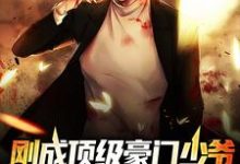 刚成顶级豪门少爷,末日就要降临?小说,刚成顶级豪门少爷,末日就要降临?免费阅读-美文小说