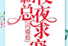 完结版《闪婚后:霸总夜夜求宠》章节阅读-美文小说