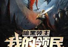 完结版《暗黑领主:我的领民是巨龙》章节阅读-美文小说