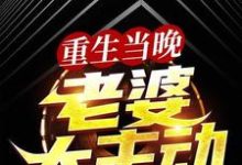 重生当晚,老婆太主动这本小说完结了吗?免费查看最新章节-美文小说