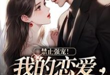 在线免费阅读禁止强宠!我的恋爱我做主完整小说-美文小说