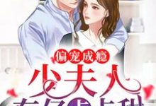 完整版的偏宠成瘾:少夫人,有亿点点甜小说在哪里可以免费读到?-美文小说