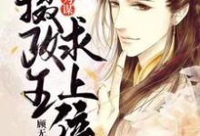 免费看乱世为谋:摄政王求上位小说的网站有哪些?-美文小说