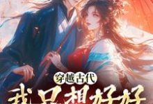 《穿越古代,我只想好好发家致富》小说大结局免费试读 姜小荷小说-美文小说