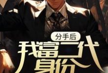 《分手后,我富二代身份被扒光了》小说章节列表免费试读,林言小说在线阅读-美文小说