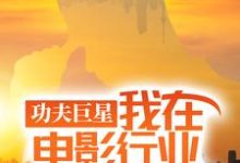 功夫巨星:我在电影行业做武替小说的免费电子版在哪里可以下载或阅读?-美文小说
