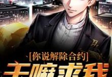 免费看你说解除合约,干嘛求我回去小说的网站有哪些?-美文小说