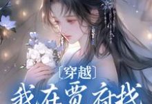 穿越：我在贾府找黛玉吃烤肉小说免费资源，穿越：我在贾府找黛玉吃烤肉在线阅读-美文小说