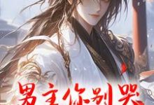 小说《男主你别哭,我当媳妇哄你》在线章节阅读-美文小说