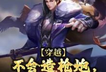 穿越:不会造枪炮,我照样颠覆皇朝小说,穿越:不会造枪炮,我照样颠覆皇朝章节在线阅读-美文小说