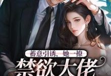 蓄意引诱,她一撩,禁欲大佬心狂跳阮梨孟鹤忱在线章节免费阅读-美文小说