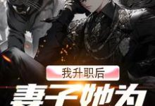 我升职后,妻子她为何不开心?小说,我升职后,妻子她为何不开心?章节在线阅读-美文小说