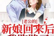 小说《老公的新娘回来后,我跑路了》章节免费阅读-美文小说
