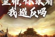 削藩交兵权,皇帝,你求着我造反吗最新章节,削藩交兵权,皇帝,你求着我造反吗免费阅读-美文小说