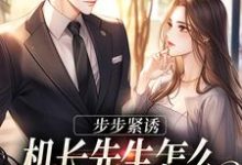 小说《步步紧诱:机长先生怎么不遵守协议》章节阅读-美文小说