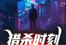 猎杀时刻,外敌全KO小说全文哪里可以免费看?-美文小说