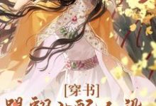 穿书:踢翻女配人设,我要修仙!小说的免费电子版在哪里可以下载或阅读?-美文小说