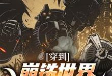 穿到崩铁世界,我誓做最强人(呼雷)在线免费阅读-美文小说