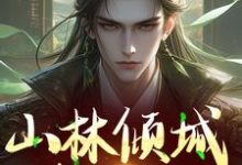 百里东君叶鼎之小说山林倾城真国色在线阅读-美文小说