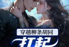 《穿越柳条胡同,扛起家族大任》小说张天阳章节章节免费在线阅读-美文小说