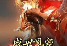 盛世恩宠:皇上你太粘人小说全文阅读需要付费吗?寻找免费资源-美文小说