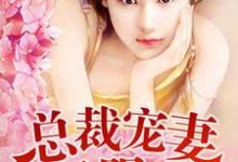 完结版《总裁夜欢无限爱》章节阅读-美文小说