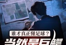 杨洛小说《谁才真正懂足球?当然是巨鳄大亨我》在线阅读-美文小说