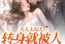 叶溪知肖维熠小说夫人太勾人!转身就被人给拱了章节免费阅读-美文小说