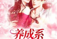 小说《养成系:情不知何起》章节免费阅读-美文小说