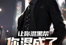 免费看让你混黑帮，你混成了社会英雄？小说的网站有哪些？-美文小说