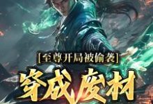 至尊开局被偷袭,穿成废材又如何?小说全文阅读需要付费吗?寻找免费资源-美文小说