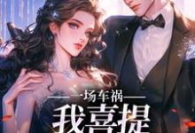 完结版《一场车祸，我喜提妻女一双？》章节阅读-美文小说