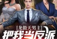 龙傲天男主把我当反派?我在线发疯小说全文哪里可以免费看?-美文小说